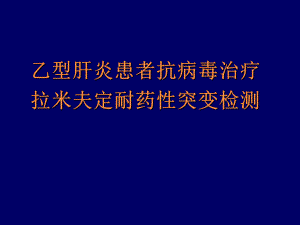 YMDD突变检测.ppt