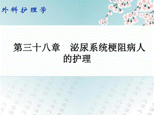 38第三十八章 泌尿系统梗阻病人的护理.ppt