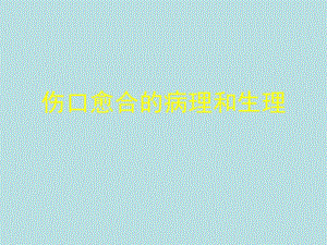 PPT伤口的病理生理.ppt