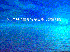 p38MAPK信号转导通路与肿瘤细胞.ppt.ppt