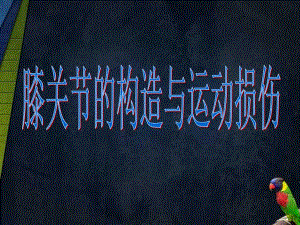 PPT膝关节演示文稿.ppt