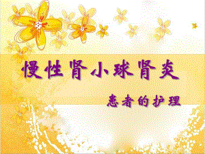 3慢性肾小球肾炎整理.ppt