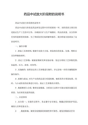 药品中试放大阶段附的说明书.docx