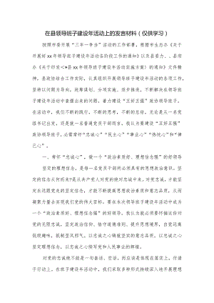 在县领导班子建设年活动上的发言材料.docx
