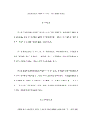 县级中医医院“两专科一中心”项目建设管理办法.docx