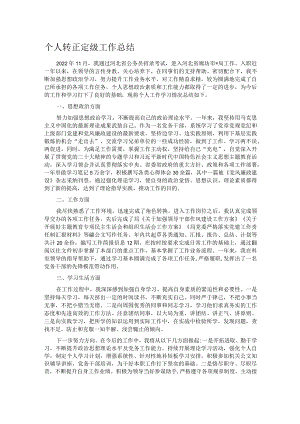 个人转正定级工作总结.docx
