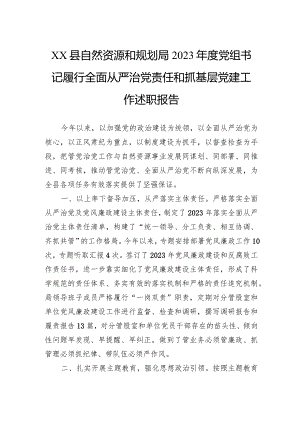 县自然资源和规划局2023年度党组书记履行全面从严治党责任和抓基层党建工作述职报告.docx