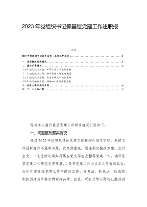 2023年党组织书记抓基层党建工作述职报告.docx