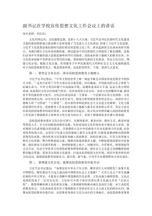 副书记在学校宣传思想文化工作会议上的讲话.docx