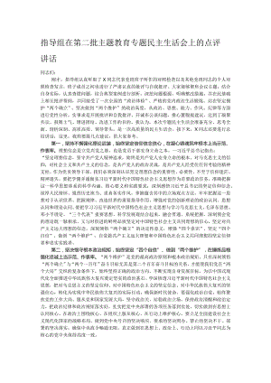 指导组在第二批主题教育专题民主生活会上的点评讲话.docx