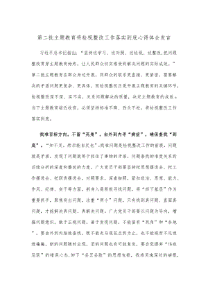 第二批主题教育将检视整改工作落实到底心得体会发言.docx