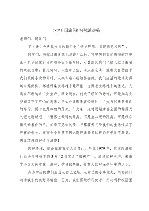 小学升国旗保护环境演讲稿.docx