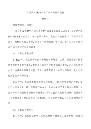 公司员工2023个人工作总结报告模板.docx