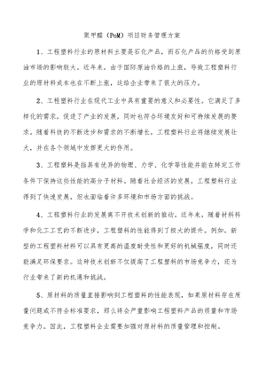 聚甲醛（POM）项目财务管理方案.docx