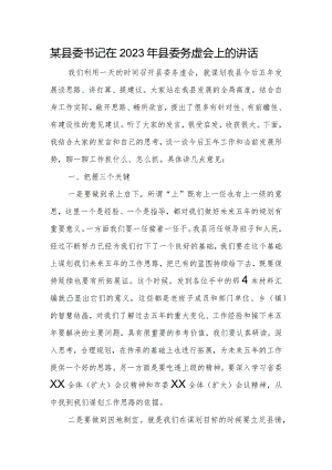 某县委书记在2023年县委务虚会上的讲话.docx