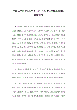 2023年主题教育民主生活会、组织生活会批评与自我批评意见.docx