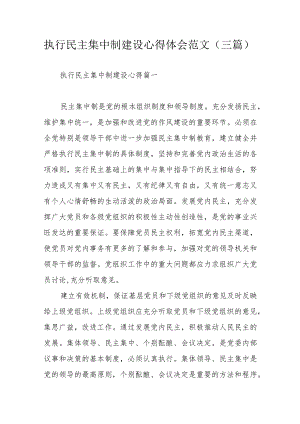 执行民主集中制建设心得体会范文（三篇）.docx