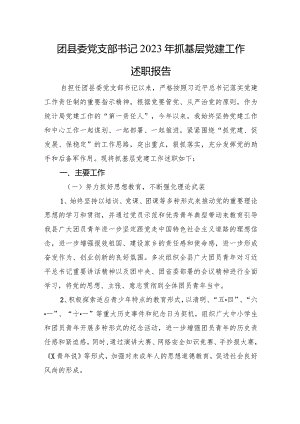 团县委党支部书记2023年抓基层党建工作述职报告.docx