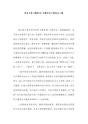 党员干部《榜样8》专题节目心得体会3篇.docx
