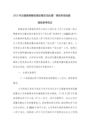 2023年主题教育整改落实情况“回头看”情况专项自查报告参考范文.docx