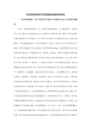 市经信局党组书记抓基层党建述职报告.docx