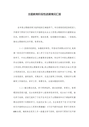 主题教育阶段性进展情况汇报.docx