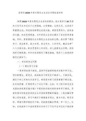 县领导2024年度专题民主生活会对照检查材料.docx