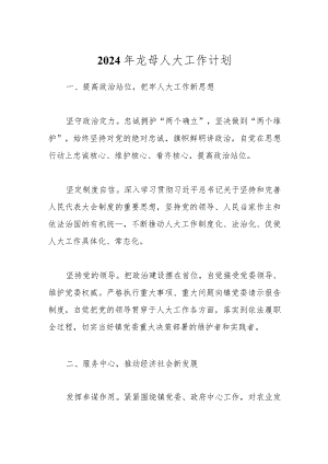 2024年龙母人大工作计划.docx