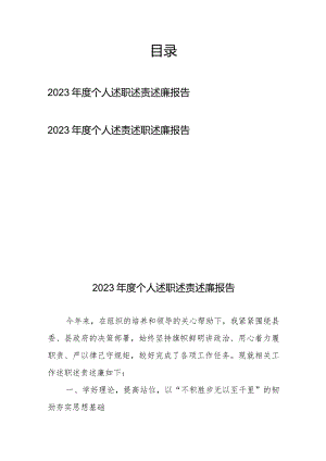 2023年度个人述职述责述廉报告2篇.docx
