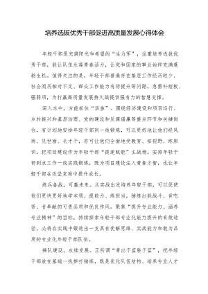 培养选拔优秀干部促进高质量发展心得体会.docx