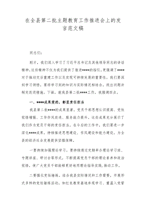 在全县第二批主题教育工作推进会上的发言范文稿.docx