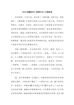2023观看学习《榜样8》心得体会感悟范文稿6篇.docx
