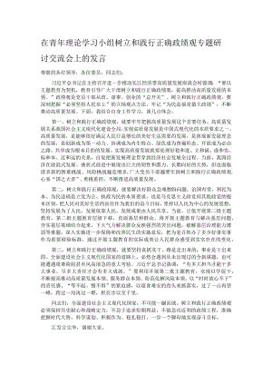 在青年理论学习小组树立和践行正确政绩观专题研讨交流会上的发言.docx
