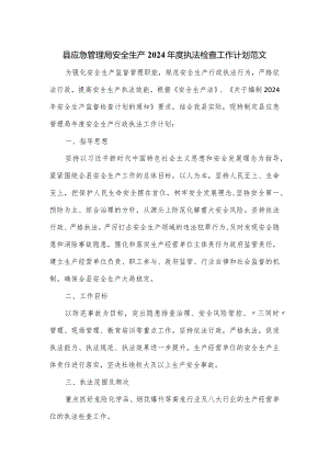 县应急管理局安全生产2024年度执法检查工作计划范文.docx