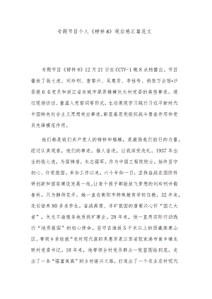 专题节目个人《榜样8》观后感汇篇范文.docx
