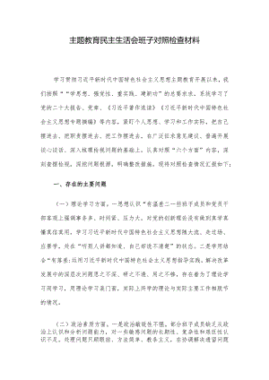 主题教育民主生活会班子对照检查材料.docx