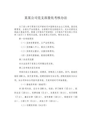 某某公司党支部量化考核办法.docx