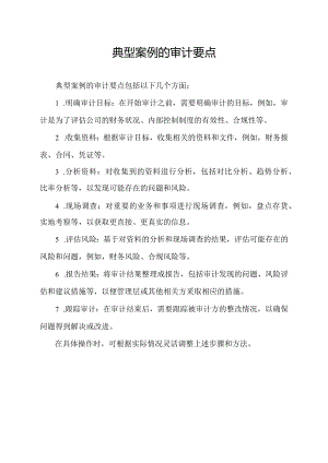 典型案例的审计要点.docx