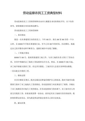 劳动监察农民工工资典型材料.docx