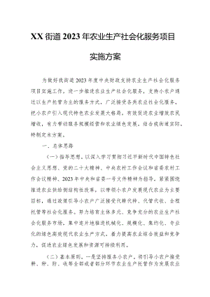 XX街道2023年农业生产社会化服务项目实施方案.docx