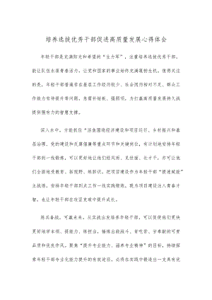 培养选拔优秀干部促进高质量发展心得体会.docx
