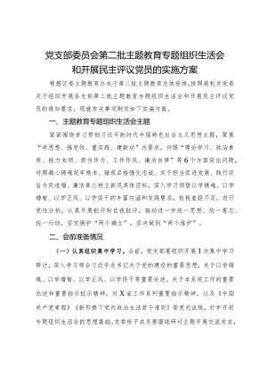 党支部委员会第二批主题教育专题组织生活会和开展民主评议党员的实施方案.docx