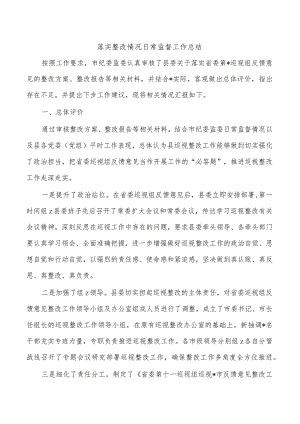落实整改情况日常监督工作总结.docx