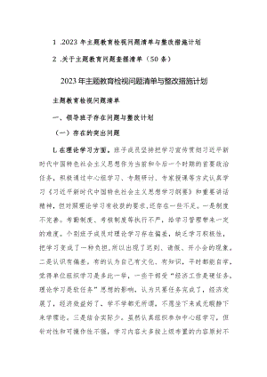 2023年主题教育检视问题清单与整改措施计划范文两篇.docx
