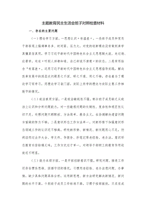 主题教育民主生活会班子对照检查材料.docx