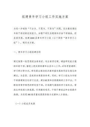 组建青年学习小组工作实施方案.docx