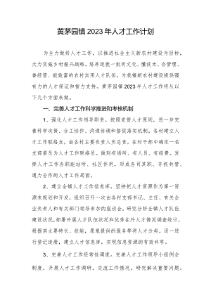 镇2023年人才工作计划.docx