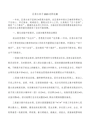 区委办班子2023述职述廉.docx