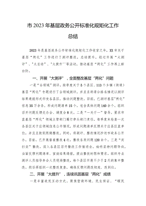 市2023年基层政务公开标准化规范化工作总结.docx