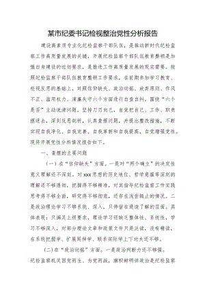 某市纪委书记检视整治党性分析报告.docx